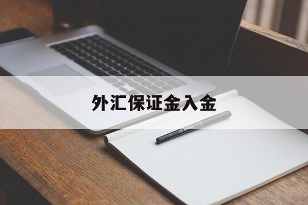 外汇保证金入金(外汇保证金入金怎么做账)